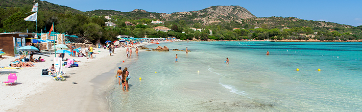 Locura de vacaciones en la playa en vivo en Internet